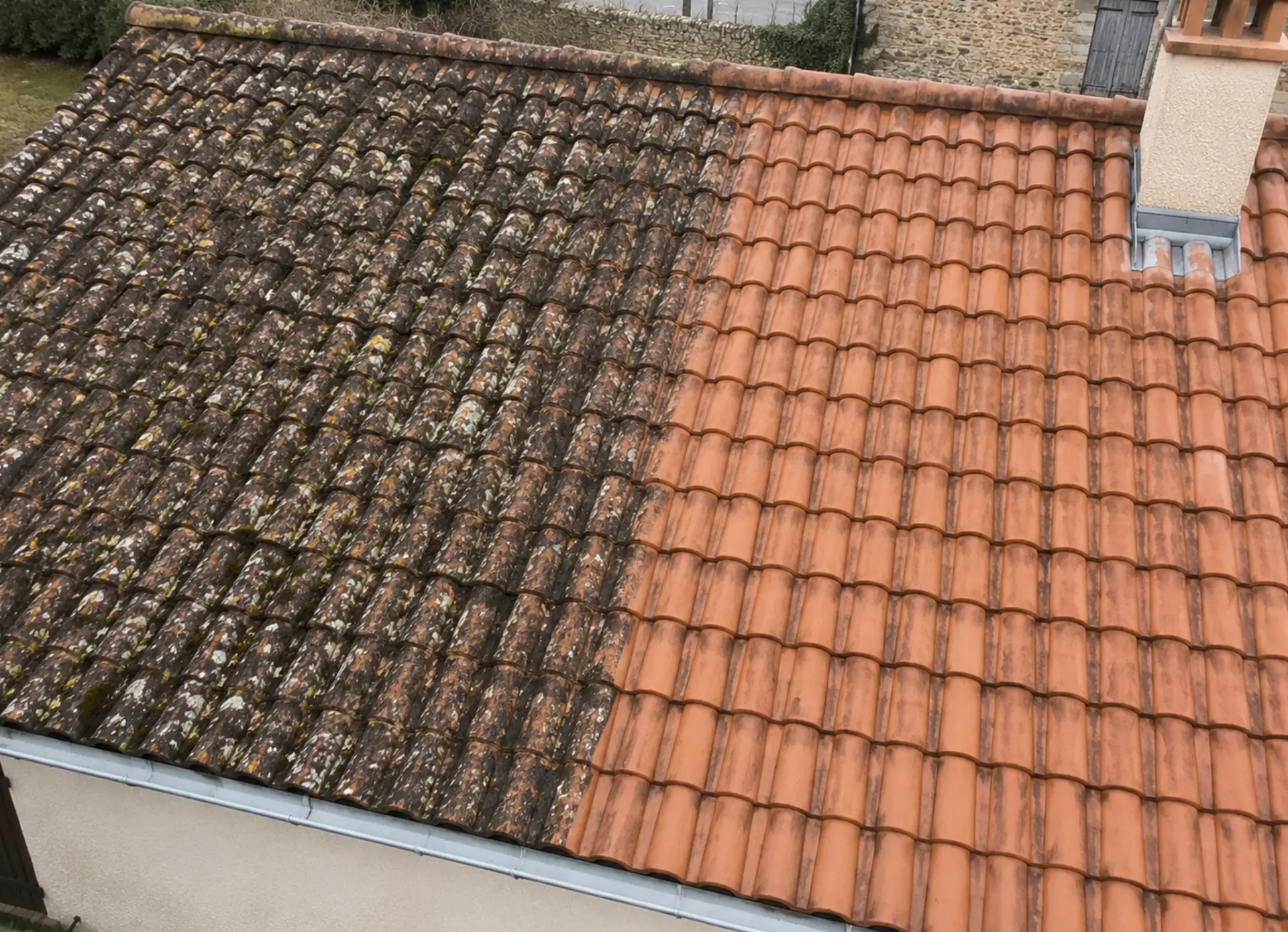 Toiture nantaise en cours de nettoyage, moitié encore moussue et moitié déjà traitée